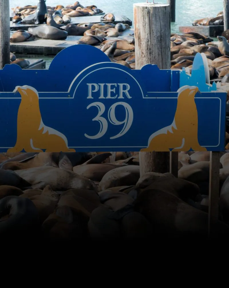 City Pier39