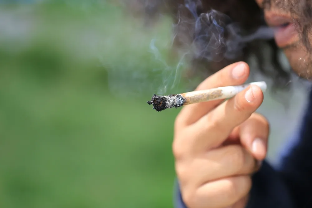 A close-up shot shows a person holding a lit joint with visible embers and rising smoke against a soft, green background.